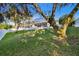 Backyard view showcasing a large tree and screened patio at 714 Hidden Lake Dr, Tarpon Springs, FL 34689