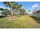 House's backyard with grassy lawn, palm trees, and partial view of house at 1252 Lyndhurst Greens Dr, Sun City Center, FL 33573