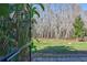 Private backyard view with lush landscaping at 2659 Keystone Springs Rd, Tarpon Springs, FL 34688