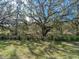 Large backyard with mature oak trees at 30822 Veridian Way, Wesley Chapel, FL 33543