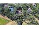 Aerial view of homes nestled among trees at 5823 Audubon Manor Blvd, Lithia, FL 33547