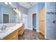 Modern bathroom with double sinks and wood-look tile flooring at 5823 Audubon Manor Blvd, Lithia, FL 33547