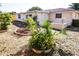 Landscaped backyard with various plants and stone pathways at 6911 El Camino Paloma St, Port Richey, FL 34668