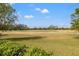 Expansive golf course view with lush green fairways and blue skies on a sunny day at 7401 Watersilk Dr, Pinellas Park, FL 33782