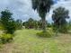 Large grassy area with tropical plants and trees at 8490 Leopold Ave, North Port, FL 34287