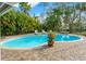 A lovely in ground kidney shaped pool surrounded by a brick patio, lounge chairs, lush landscaping, and grilling area at 906 W Henry Ave, Tampa, FL 33604