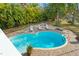 Aerial view of the kidney shaped pool with brick patio, lounge chairs, and lush landscaping at 906 W Henry Ave, Tampa, FL 33604