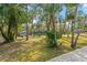 Lush green yard with tropical trees and views of the waterway at 906 W Henry Ave, Tampa, FL 33604