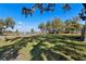 A large fenced backyard with well-maintained grass and mature trees, some with hanging Spanish moss at 9804 Rowing Dale Bnd, Wesley Chapel, FL 33545