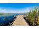 Dock on a lake featuring a built-in bench, surrounded by lily pads and tall grasses under a clear sky at 9804 Rowing Dale Bnd, Wesley Chapel, FL 33545