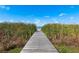 Wooden dock extending towards a serene waterfront view, surrounded by tall grasses and a clear sky at 9804 Rowing Dale Bnd, Wesley Chapel, FL 33545