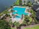 Aerial view of a community pool surrounded by tropical landscaping and lounge chairs for residents to enjoy at 11132 Roseate Dr, Tampa, FL 33626