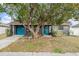 Gray house with teal door, mature tree, and landscaping at 1232 Calamondin Dr, Holiday, FL 34691