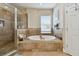 Spa-like bathroom with soaking tub and walk-in shower at 19322 Autumn Chase Ct, Land O Lakes, FL 34638