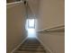 Indoor view of carpeted staircase leading downstairs at 19639 Shady Oak Dr, Land O Lakes, FL 34638