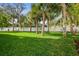 Landscaped backyard with lush grass and palm trees at 1964 Cedar Dr, Dunedin, FL 34698