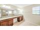 Bathroom with granite double vanity and large mirror at 20209 Merry Oak Ave, Tampa, FL 33647