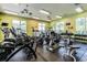 Community fitness center with various exercise equipment at 20209 Merry Oak Ave, Tampa, FL 33647