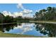 Serene lake view with lush greenery and cloudy sky at 20209 Merry Oak Ave, Tampa, FL 33647