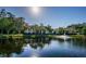 Picturesque pond featuring a fountain, with residential buildings in the background, creating a serene atmosphere at 3377 Crystal E Ct # E, Palm Harbor, FL 34685