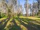 Large grassy backyard with mature trees and natural light at 3663 Berger Rd, Lutz, FL 33548