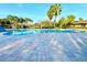 Community pool with a zero entry and brick pavers overlooking tropical palms at 4110 Huntingdale Ct, Wesley Chapel, FL 33543