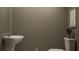 Simple, clean bathroom with pedestal sink and toilet at 9390 Runaway Breeze Dr, Land O Lakes, FL 34637