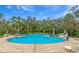 Relaxing community pool with surrounding landscape at 10023 Eventide Trl, Parrish, FL 34219