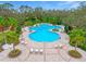 Resort-style pool with plenty of lounge chairs at 10023 Eventide Trl, Parrish, FL 34219