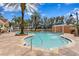 Inviting community pool surrounded by lush landscaping, lounge chairs, and palm trees at 12033 Gandy N Blvd # 145, St Petersburg, FL 33702