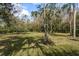 Large, well-maintained yard with mature trees, providing ample space and a peaceful setting at 170 Greenhaven Cir, Oldsmar, FL 34677