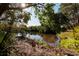 Scenic view of a serene pond surrounded by lush vegetation and mature trees, creating a tranquil natural setting at 346 80Th Ne Ave, St Petersburg, FL 33702