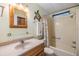 Well-lit bathroom with a shower-tub combo, vanity with sink, and turtle decor at 5539 Regal Way, Zephyrhills, FL 33541