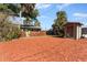Backyard with woodchip ground cover, storage shed, and fenced area at 931 And 925 Florida Ave, Palm Harbor, FL 34683