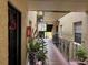 Shared hallway with plants and access to individual condo units at 107 S Obrien St # 220, Tampa, FL 33609