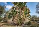 Well-maintained condo exterior featuring lush tropical foliage and designated parking at 113 Lindsay Ln # 23, Oldsmar, FL 34677