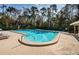 Community pool featuring clear water, ample deck space, and mature trees at 113 Lindsay Ln # 23, Oldsmar, FL 34677