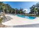 Community pool featuring modern lounge chairs, swaying palm trees, and a relaxing ambiance at 12099 Gavin Ln, Odessa, FL 33556