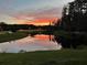 A scenic pond at sunset at 18863 Roseate Dr, Lutz, FL 33558