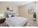 Bright bedroom with a large window, neutral walls and a comfy bed at 3900 Claybrook Dr, Wesley Chapel, FL 33544