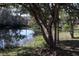 Peaceful pond view with reflection of trees at 4317 Deermont Cir, Tampa, FL 33624