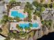 Aerial view of the community pool area with palm trees and ample seating at 4927 Rolling Green Dr, Wesley Chapel, FL 33543