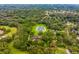 Picturesque aerial view of a luxury estate with a large pond, nestled among lush, mature trees at 1007 Lakewood Dr, Brandon, FL 33510