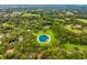 Scenic aerial view of an estate boasting a pond and lush greenery, offering privacy and tranquility at 1007 Lakewood Dr, Brandon, FL 33510