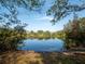 Serene pond view with natural surroundings and clear water at 10120 Post Harvest Dr, Riverview, FL 33578