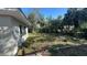 Overgrown backyard with various landscaping elements including palm trees and foliage at 13634 Twig Ter, Largo, FL 33774