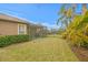 The well-manicured lawn of the backyard is perfect for outdoor activities and Gathering enjoyment at 14607 Turning Leaf Ct, Tampa, FL 33626