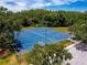 Overhead shot of the basketball court nestled among trees at 16908 Equestrian Trl, Odessa, FL 33556