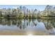 Scenic view of a calm pond reflecting the surrounding trees and sky on a sunny day at 26850 Juniper Bay Dr, Wesley Chapel, FL 33544