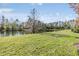 Peaceful pond view with green lawn and mature trees at 26850 Juniper Bay Dr, Wesley Chapel, FL 33544